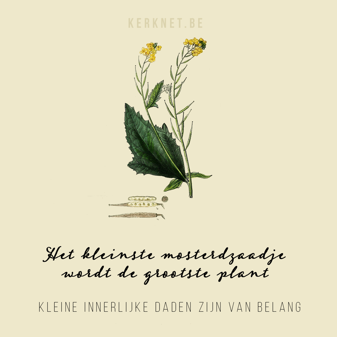 Klik om te delen op Facebook © CC Biodiversity Heritage Library Het kleinste mosterdzaadje wordt de grootste plant - Kleine innerlijke daden zijn van belang
