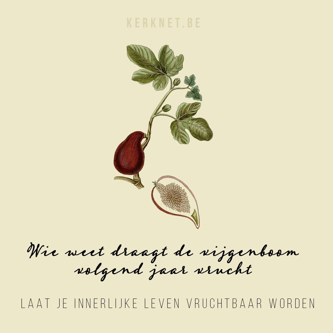 Klik om te delen op Facebook © CC Biodiversity Heritage Library Wie weet draagt de vijgenboom volgend jaar vrucht - Laat je innerlijke leven vruchtbaar worden