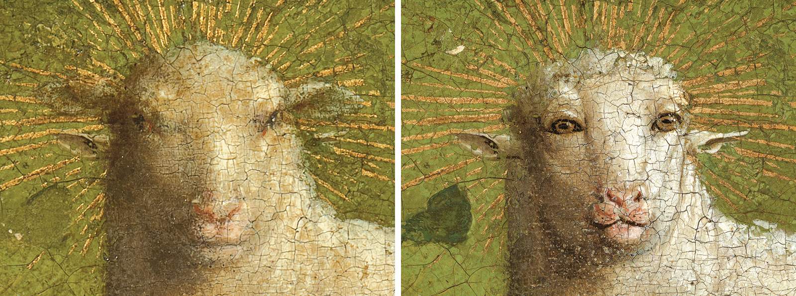 Detail hoofd van het Lam links voor behandeling - rechts na behandeling © Sint-Baafskathedraal Gent Lukasweb.be-Art in Flanders vzw, foto KIK-IRPA Detail hoofd van het Lam links voor behandeling - rechts na behandeling © Sint-Baafskathedraal Gent Lukasweb.be-Art in Flanders vzw, foto KIK-IRPA