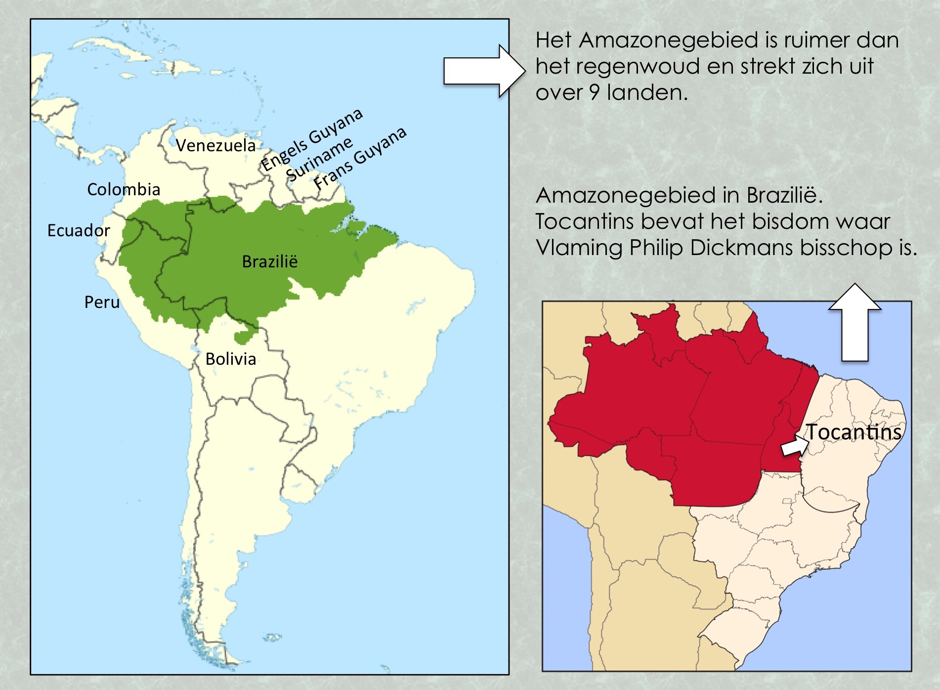 Amazone regenwoud en gebied in Brazilië. © Wikicommons / Lieve Wouters Amazone regenwoud en gebied in Brazilië. © Wikicommons / Lieve Wouters