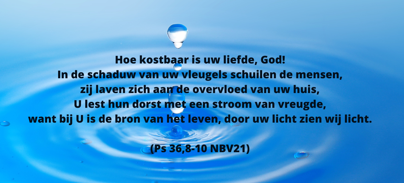 Bron van leven 
