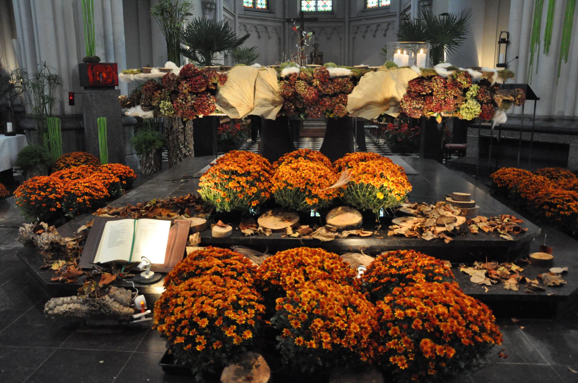 Feest van allerheiligen en allerzielen 1 en 2 november 2018 kerknet