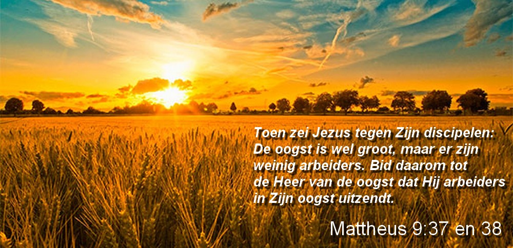 Insteek lezingen zondag 14 juni, priester Willy | Kerknet
