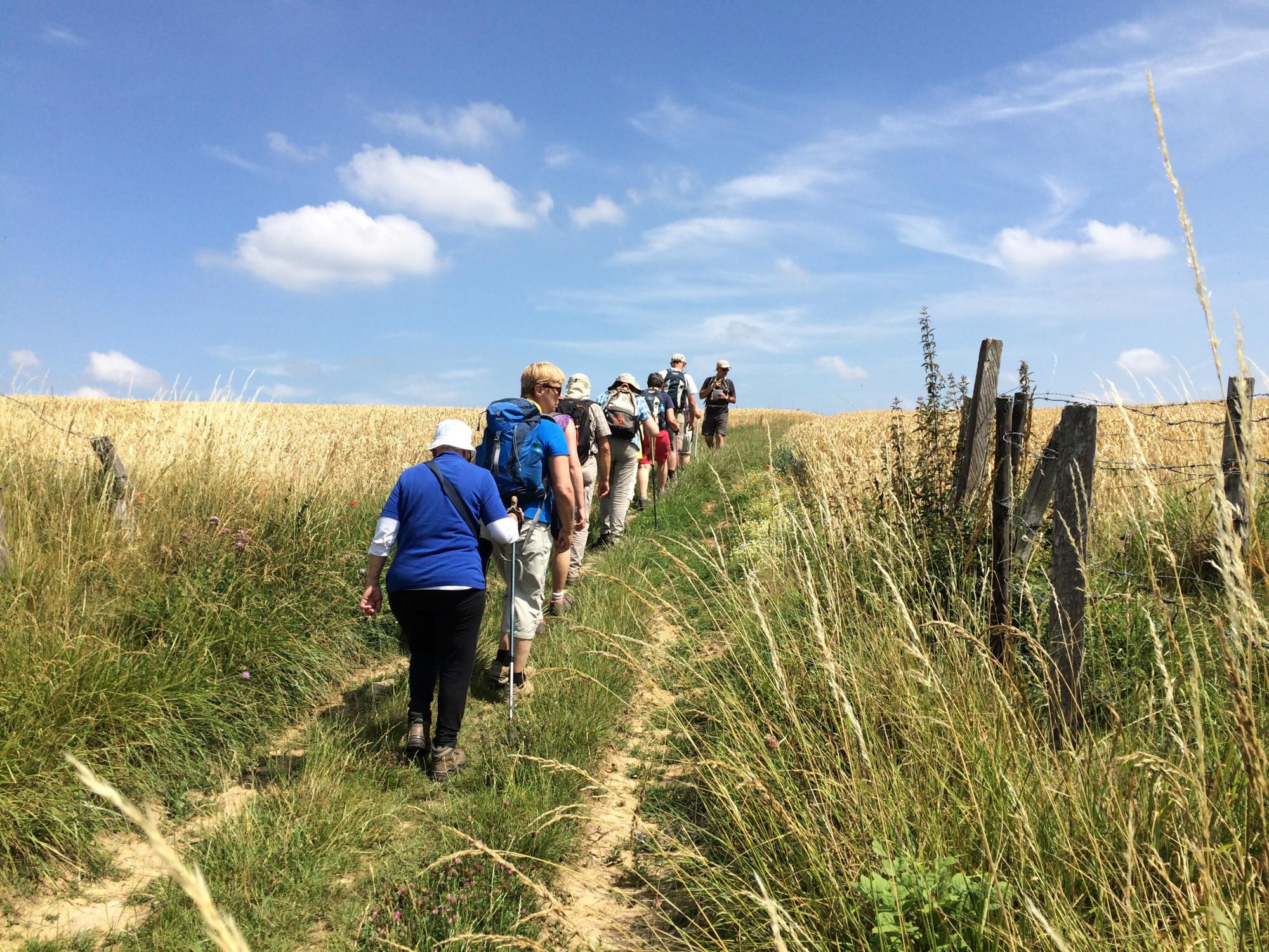 De pelgrimswandeling loopt door het natuurgebied van Hengelhoef en Ten Haagdoorn. © Diocesane werkgroep Pelgrimspastoraal De pelgrimswandeling loopt door het natuurgebied van Hengelhoef en Ten Haagdoorn. © Diocesane werkgroep Pelgrimspastoraal