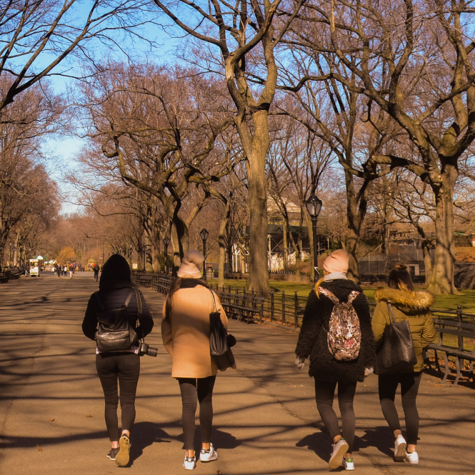 Wandeling © Weigler Godoy via Unsplash Wandeling © Weigler Godoy via Unsplash