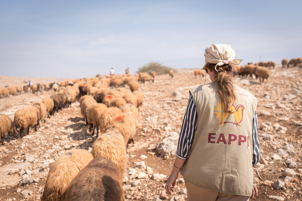 Een EAPPI-vrijwilliger vergezelt een schaapsherder in de Jordaanvallei. © Albin Hillert/Wereldraad van Kerken Een EAPPI-vrijwilliger vergezelt een schaapsherder in de Jordaanvallei. © Albin Hillert/Wereldraad van Kerken