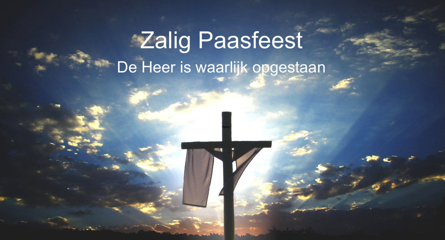 Paasvieringen in de kathedralen  Kerknet