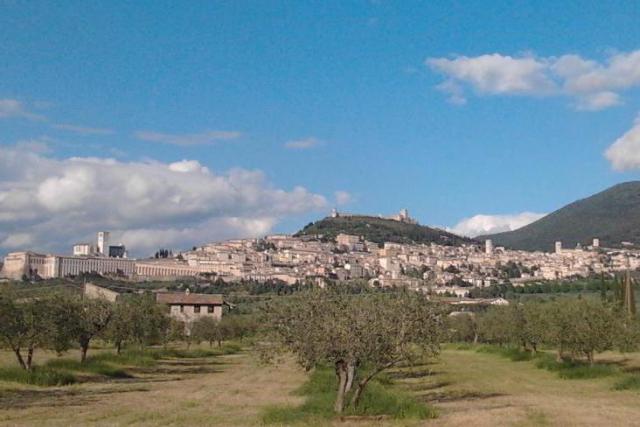 Het stadje Assisi © ofm. Het stadje Assisi © ofm.