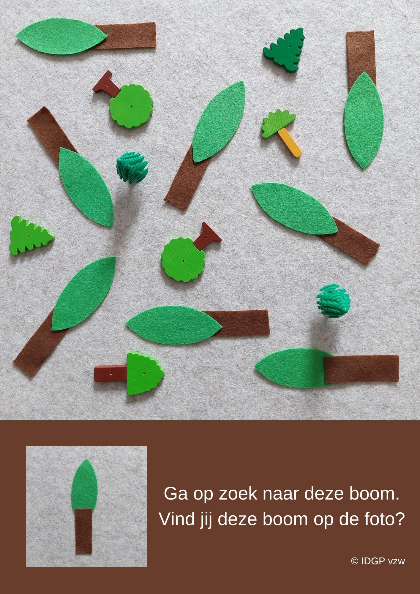 Zoekplaat 'bomen' © IDGP vzw Zoekplaat 'bomen' © IDGP vzw