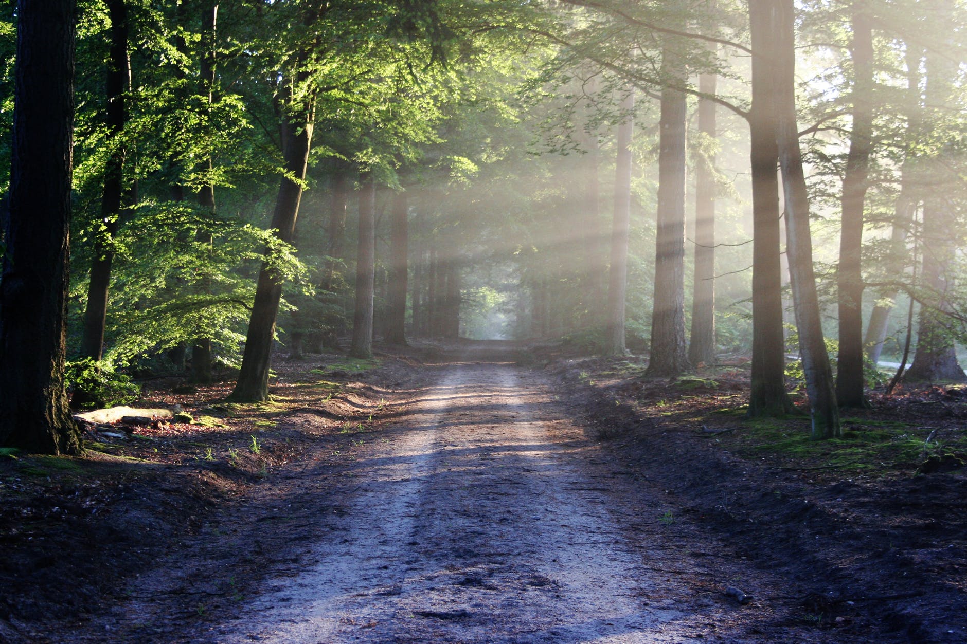 De weg die voor ons ligt... © pexels De weg die voor ons ligt... © pexels