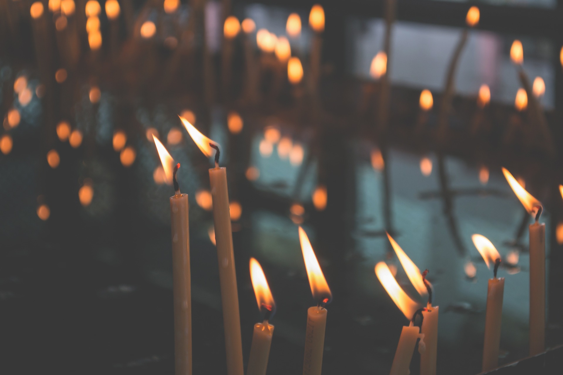 In Memoriam