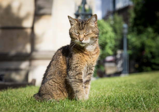 Doorkins Magnificat © Southwark Cathedral Doorkins Magnificat © Southwark Cathedral