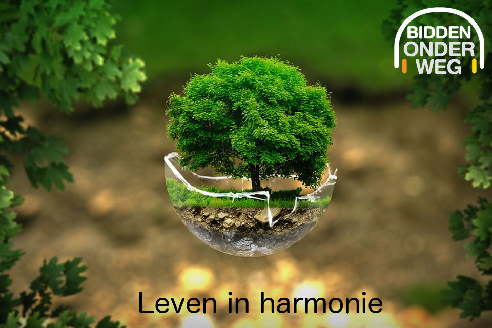Ecologie Ecologie