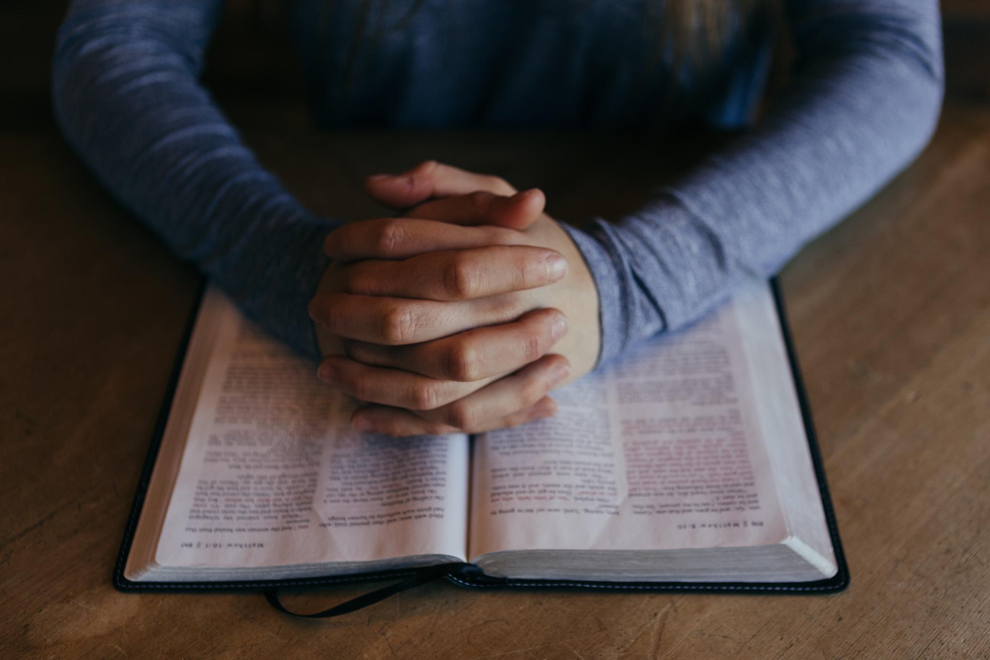 'Soms heb je niet meer dan één boek nodig, om telkens opnieuw te herkauwen.' © CC Pexels 'Soms heb je niet meer dan één boek nodig, om telkens opnieuw te herkauwen.' © CC Pexels