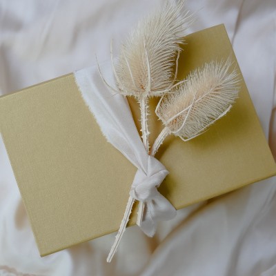 Briefomslag © Seashell in love, Kristin via Unsplash Briefomslag © Seashell in love, Kristin via Unsplash