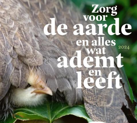 Ecokerk campagne 2024 © Ecokerk