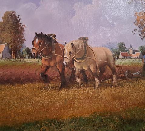 Trekpaarden - Pelgrims van hoop © Pastorale Eenheid O.L.V. Krekedal Kortemark