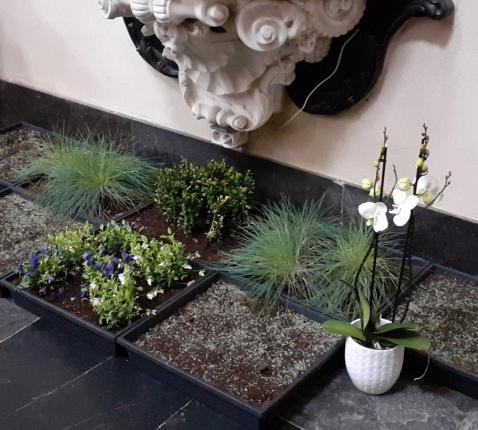 Een stukje groen als symbool voor het hemels paradijs © Attent