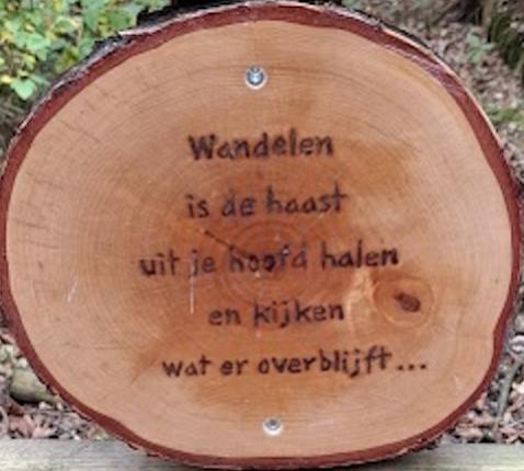 Familiewandeling met de vormelingen. © Werner Mertens.