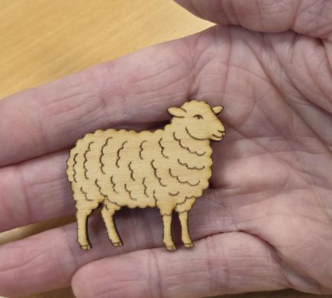 Schaapje © Parochie in BKZ