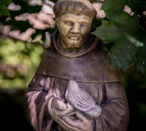Franciscus van Assisi preekte voor vogels 