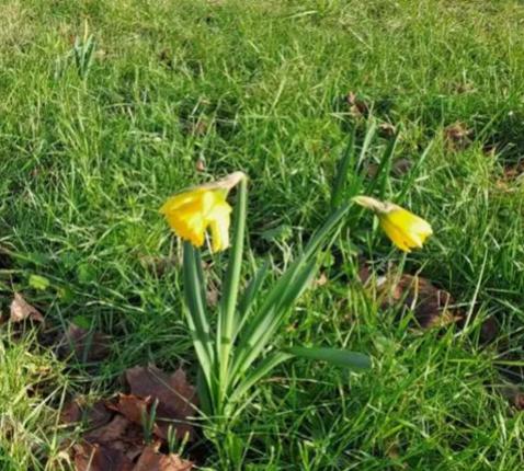 Vroege vogels © Guido Vandeperre