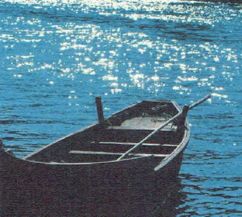 3e Zondag door het Jaar - zondag 25 januari 2026 © Alexander Vandaele