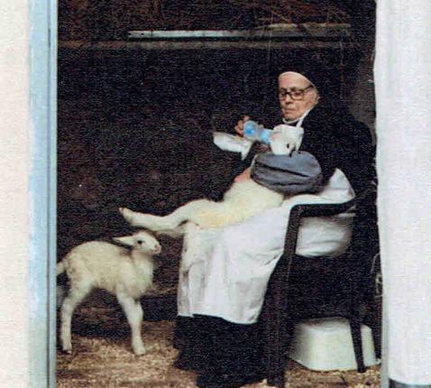 4e Paaszondag  - zondag 26 april 2026 © Alexander Vandaele