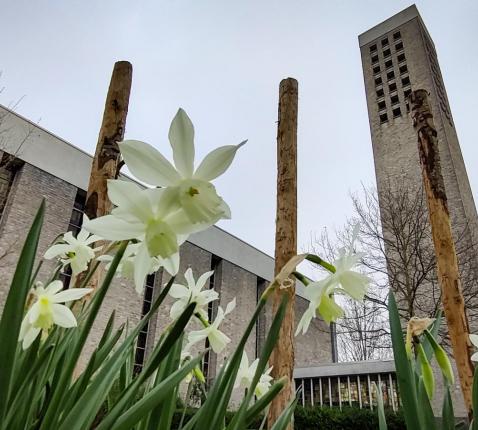 Lente in de Hemelse Gaarde 
