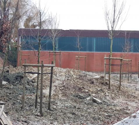 PalokeSite 