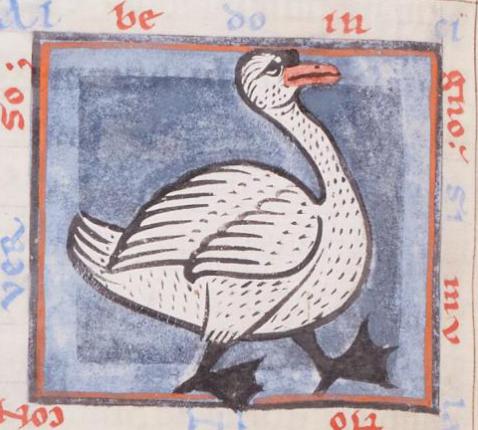 De gans als bewaker (AGSB, Ms. 89/54, fol. 38v) © Stad Brugge
