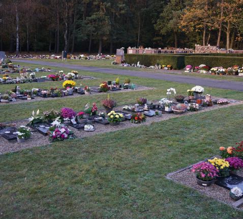 Allerheiligen - HH - 2022 