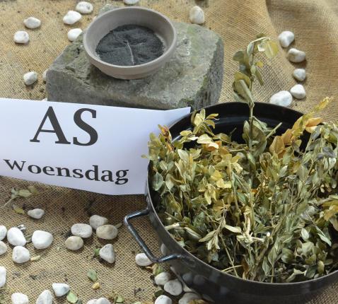 www.bisdombrugge.be 