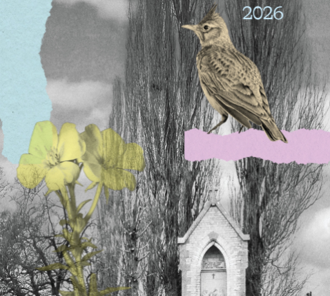 Duurzaam beleggen © EcoKerk