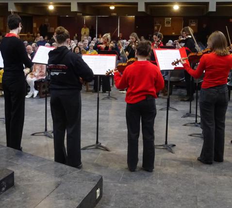 Strijkorkest Bowgiorno © Marjo Perry