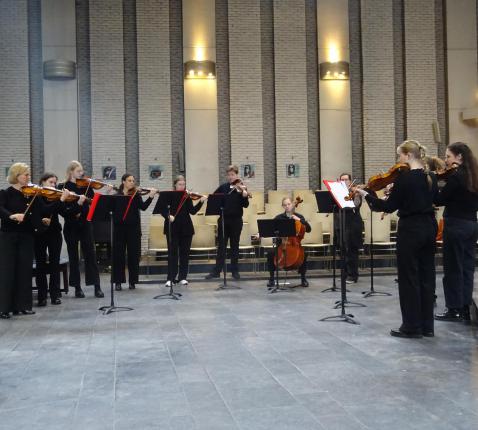 Strijkorkest Bowgiorno © Marjo Perry