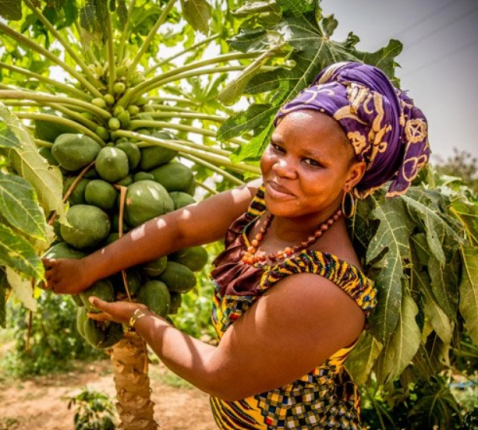 Vrouw, werkzaam in de landbouw in Burkina Faso © Thomas De Boever