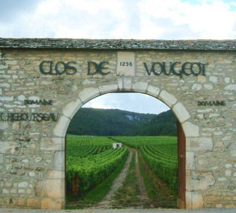 'Clos de Vougeot', de beroemde wijngaard in de Bourgogne. © Wikipedia