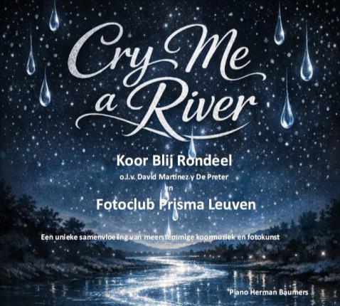 Cry me a River 