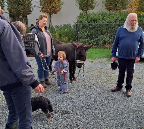 Dierenwijding 2024 