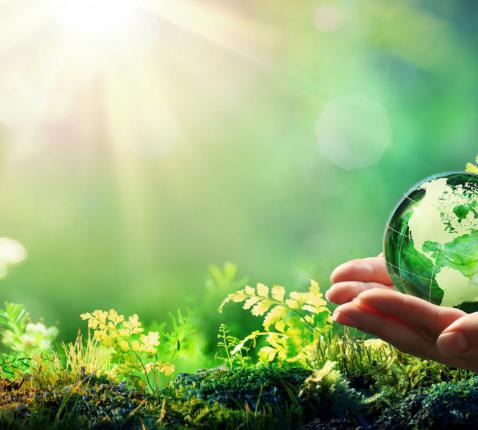 ecologisch kerken 