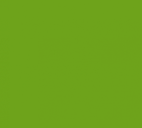 groen kleurvlak logo Ecokerk © CCV bisdom Antwerpen
