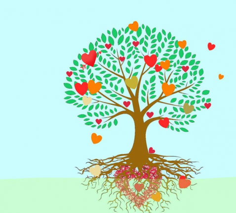 CCV Gent © Encounter