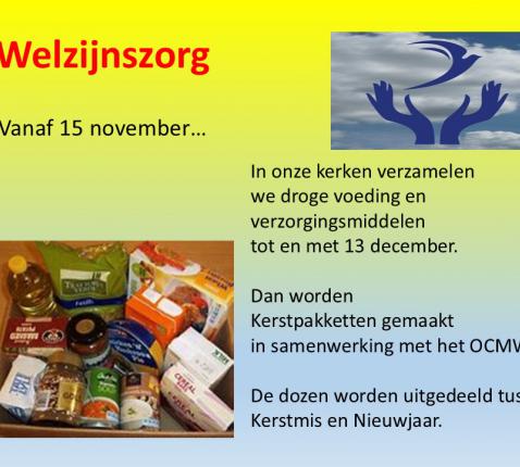 welzijnszorg 