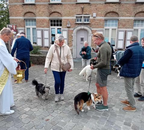 dierenzegen 