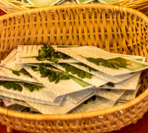 Palmzondag Palmzondag