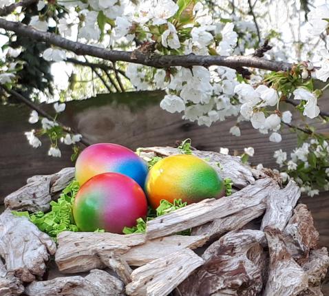 Goed nieuws  © Hilde Claes