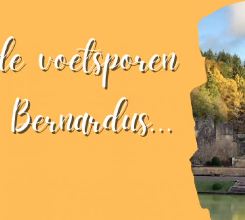 Bernardus dagen 