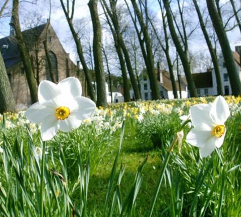 Lente © Inge Cordemans