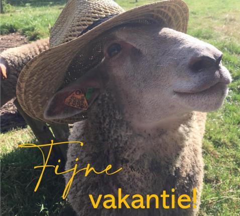 Schaap met hoed 